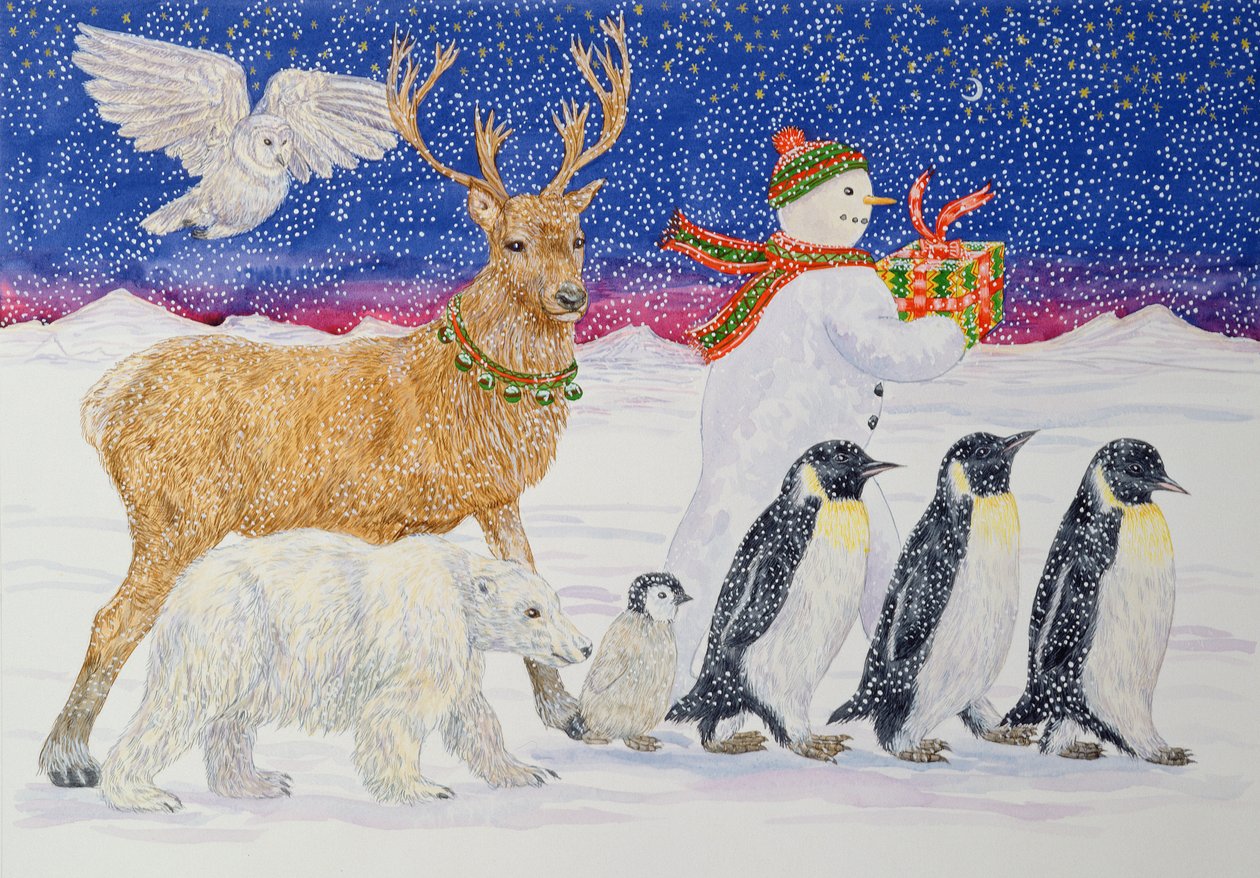 Een cadeau voor de kerstman door Catherine Bradbury