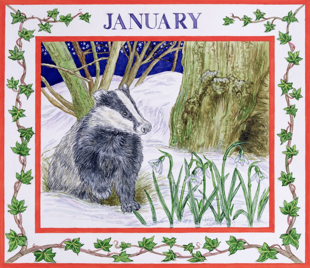Januari door Catherine Bradbury