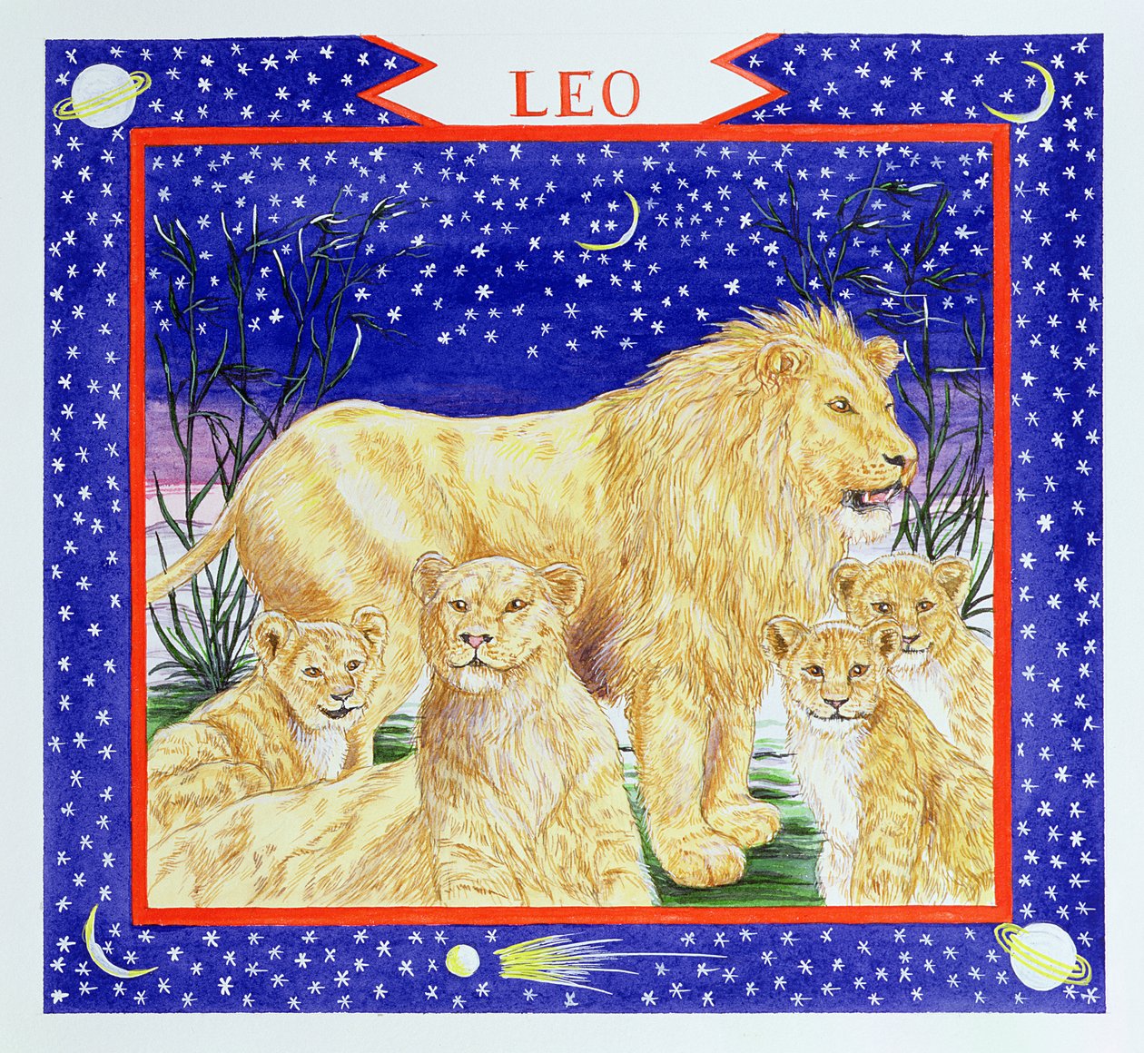 Leeuw door Catherine Bradbury