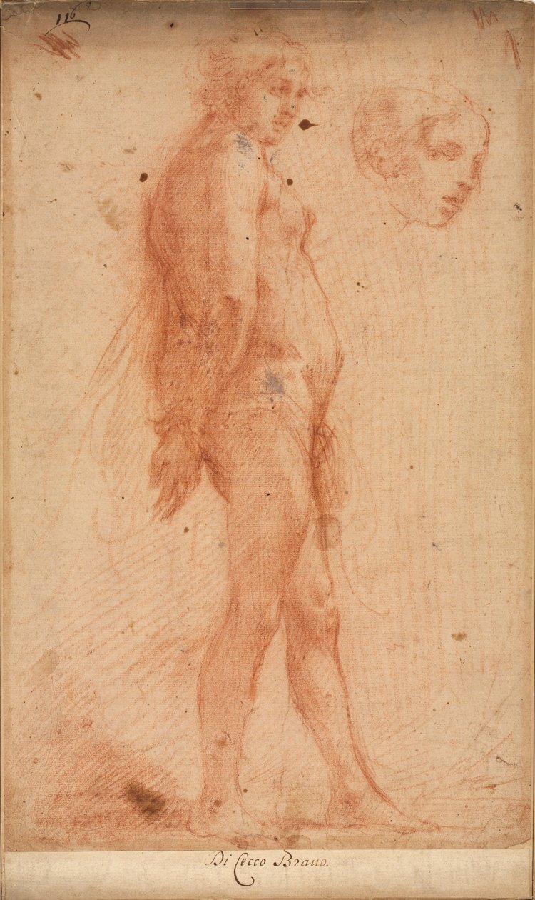 Studie van een Staande Mannelijke Naakt, met een Studie van Hoofd in Driekwart Profiel, ca. 1640 door Cecco Bravo