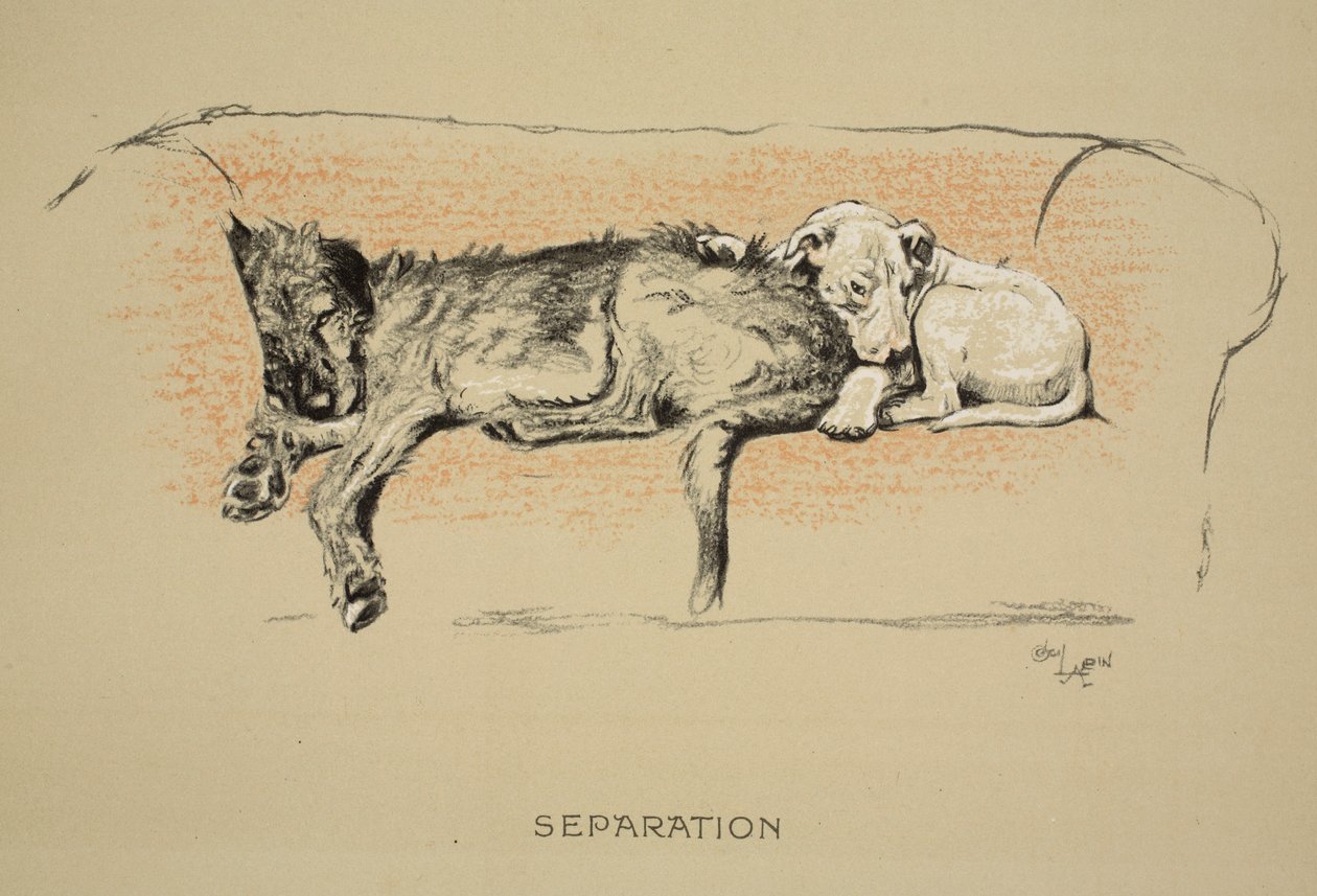 Scheiding, 1930, 1e Editie van 