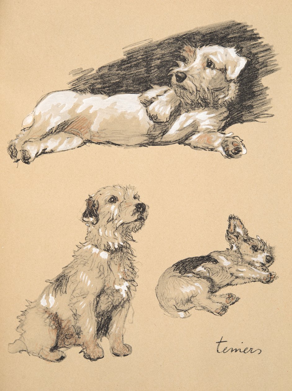 Terriërs, 1930, Illustraties uit zijn schetsboek gebruikt voor 