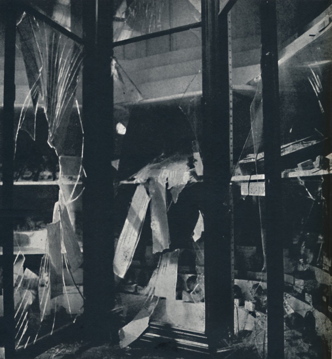 Vitrines in het Natuurhistorisch Museum door Cecil Beaton