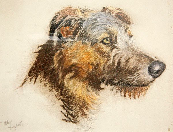 Een Schotse Hertenhond door Cecil Charles Windsor Aldin