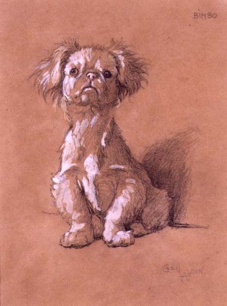 Bimbo door Cecil Charles Windsor Aldin