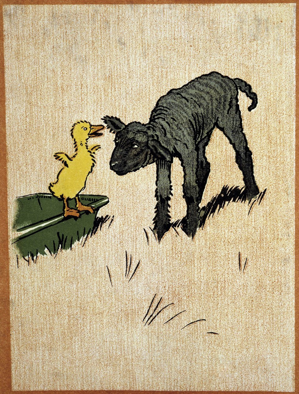 Zwart lammetje en eendje - tekening door Aldin door Cecil Charles Windsor Aldin