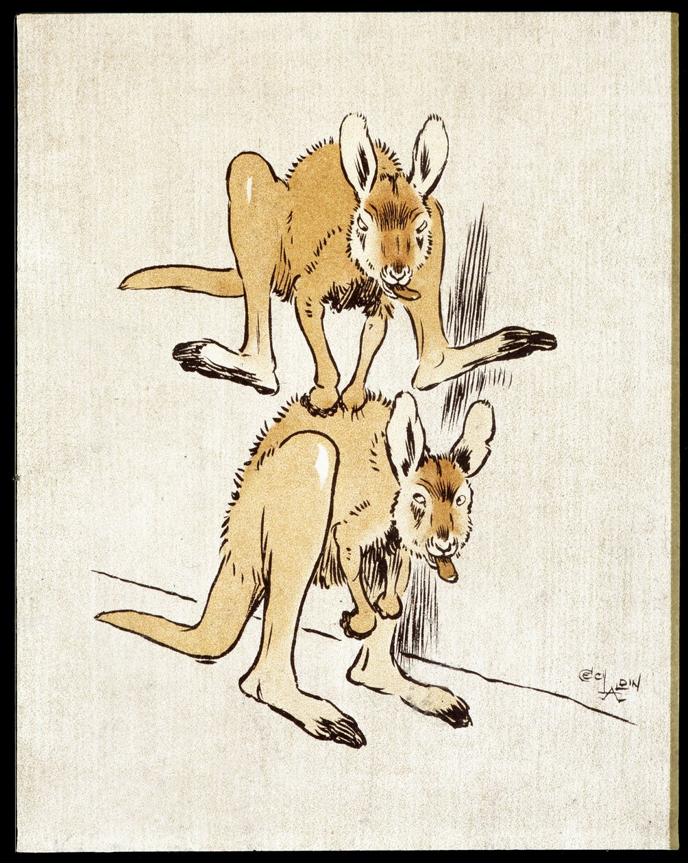 Komische kangoeroes. Twee kangoeroes spelen een schaapsprong. door Cecil Charles Windsor Aldin