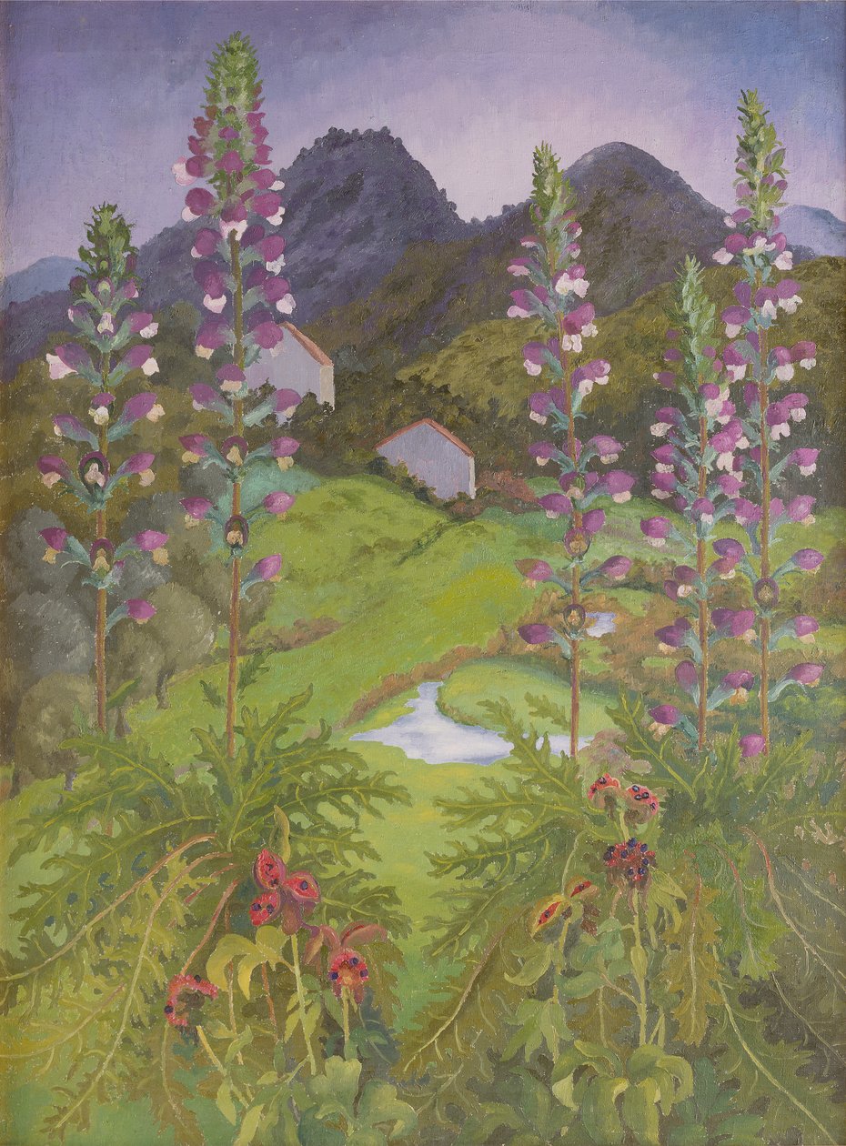 Acanthus door Cedric Morris