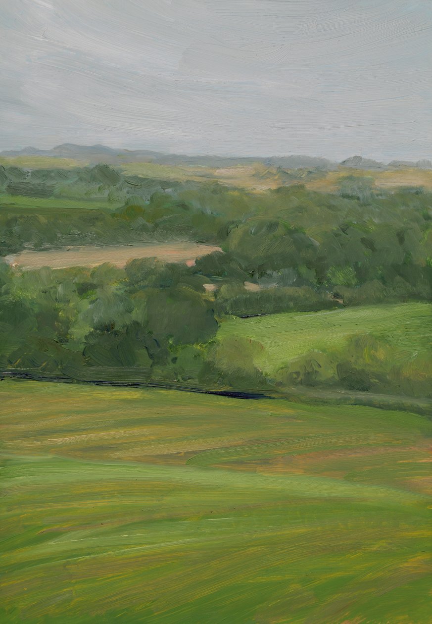 Regen, Cornbury Park, Cotswolds (Olieverf op paneel) door Celia Montague