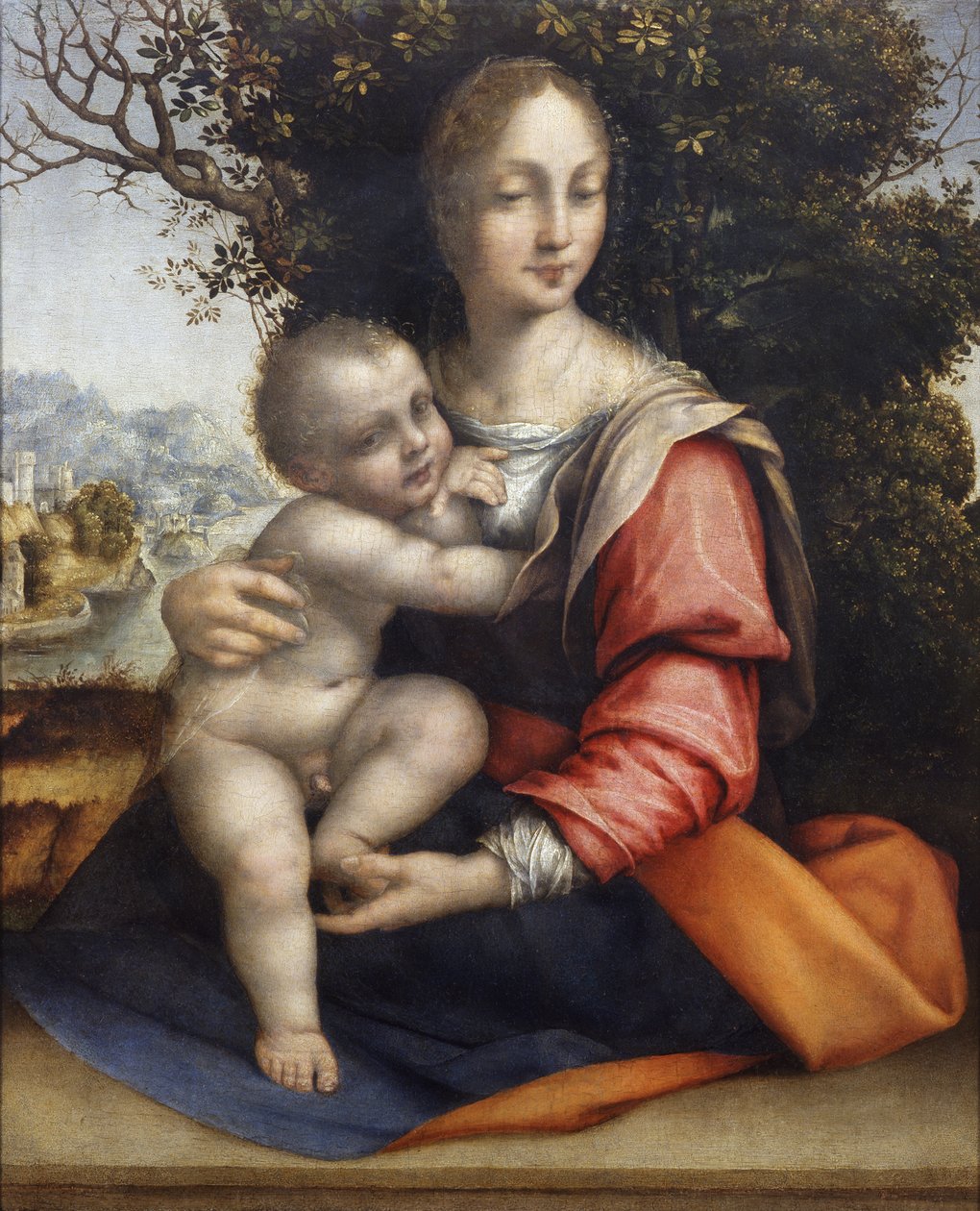 Madonna en Kind (Onze Lieve Vrouw van de Boom) door Cesare da Sesto
