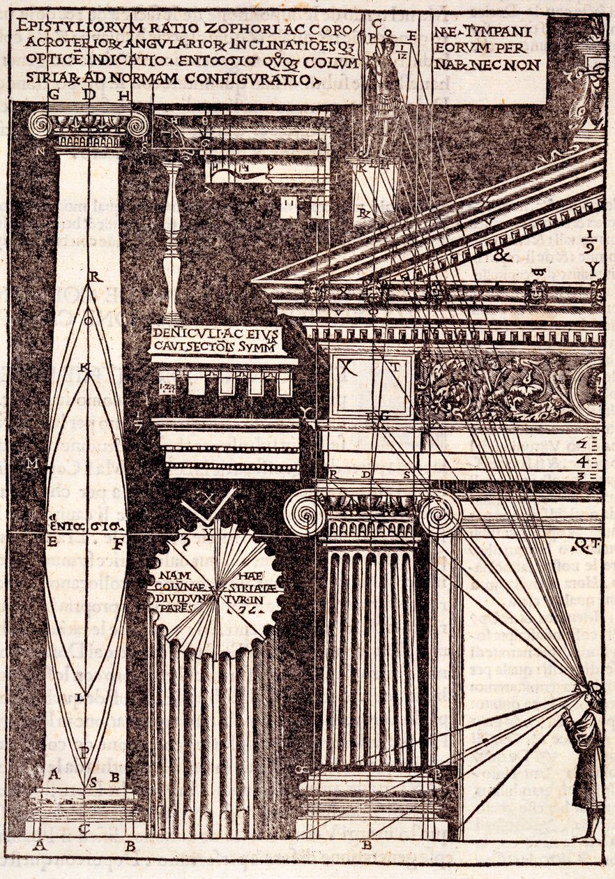 Voorbeelden van Klassieke proporties, uit Di Lucio Vitruvio Pollione de architectura a libri dece, door Gotardo de Ponte Como, 1521 door Cesare di Lorenzo Cesariano