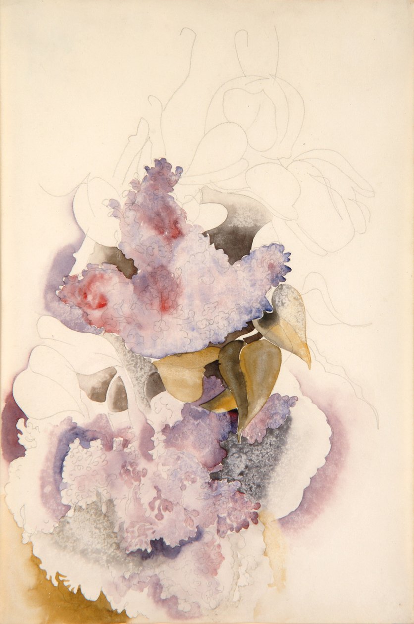 Seringen door Charles Demuth