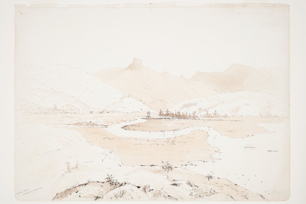 Waiau-vallei, Coromandel-haven door Charles Heaphy