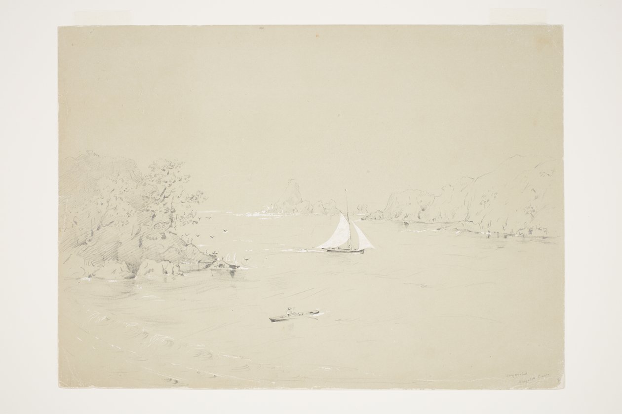 Wangaaihu Wangaroa Kust door Charles Heaphy