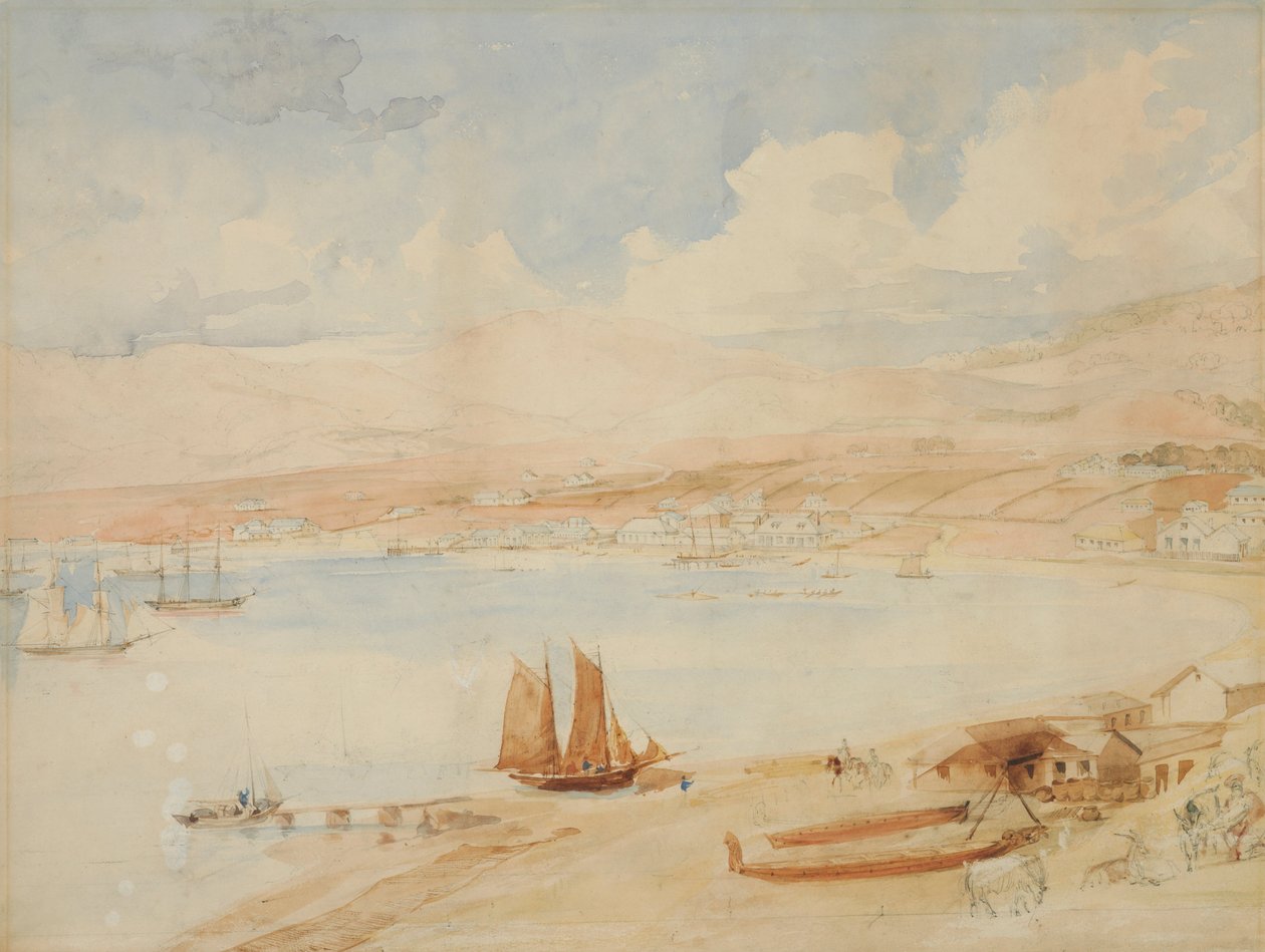 Wellington Haven, N.Z. door Charles Heaphy