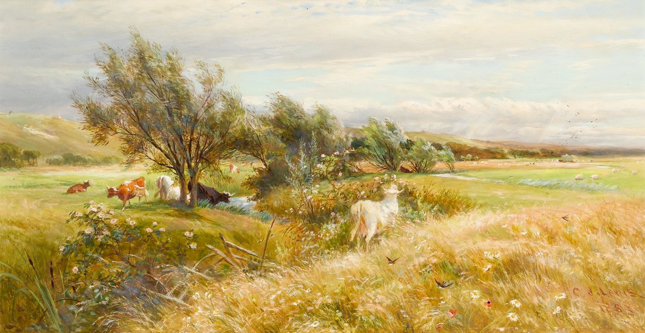 Vee in een waterweide door Charles James Lewis