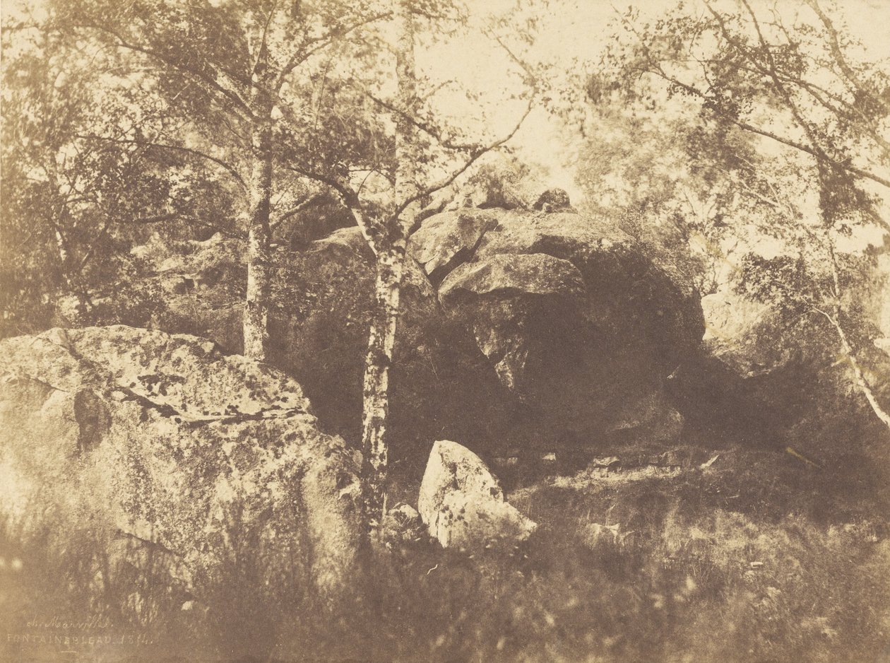 Fontainebleau door Charles Marville
