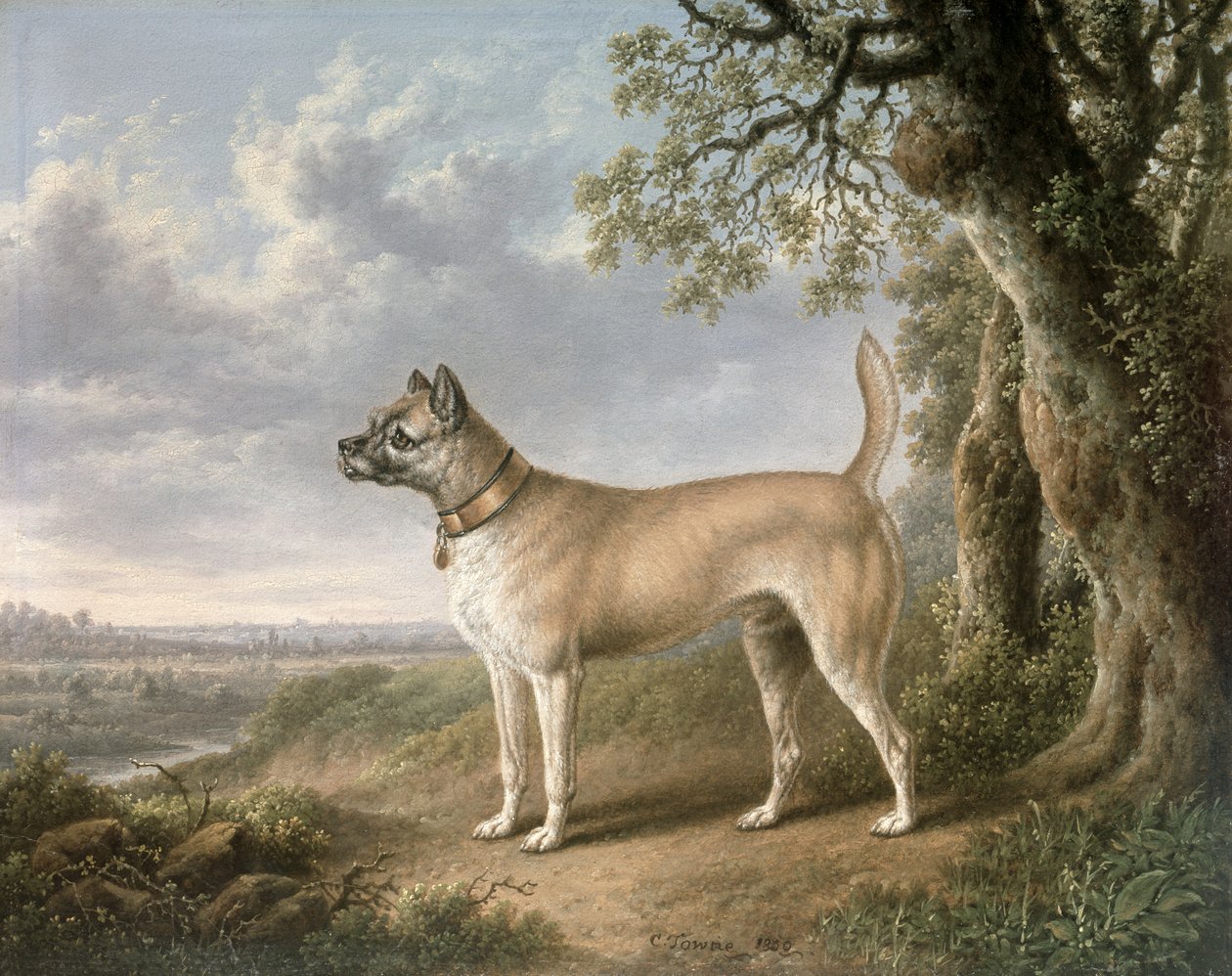 Een Terrier op een pad in een bosrijk landschap door Charles Towne
