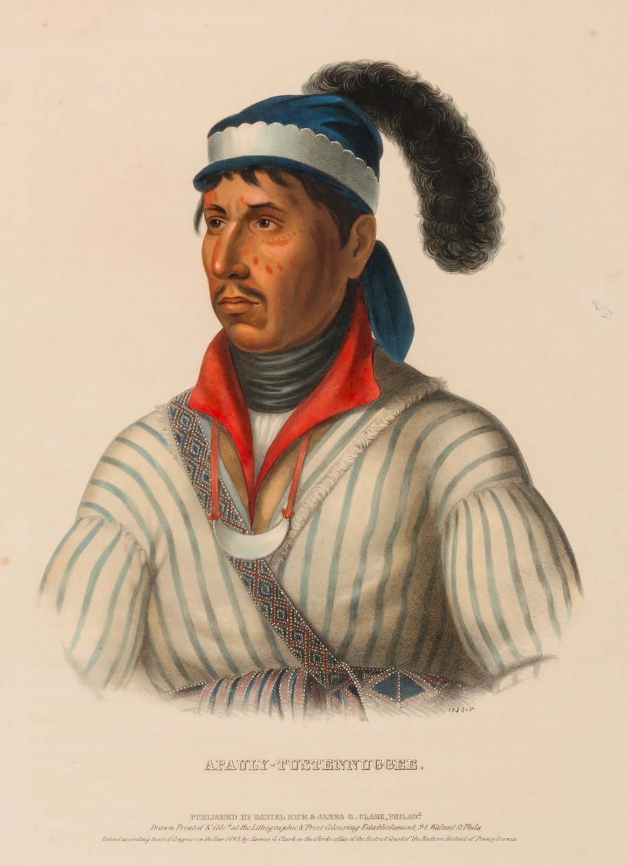 APAULY-TUSTENNUGGEE., uit Geschiedenis van de Indianenstammen van Noord-Amerika door Charles Bird King