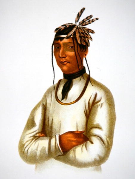 Caatousee van de Chippewa-stam door Charles Bird King