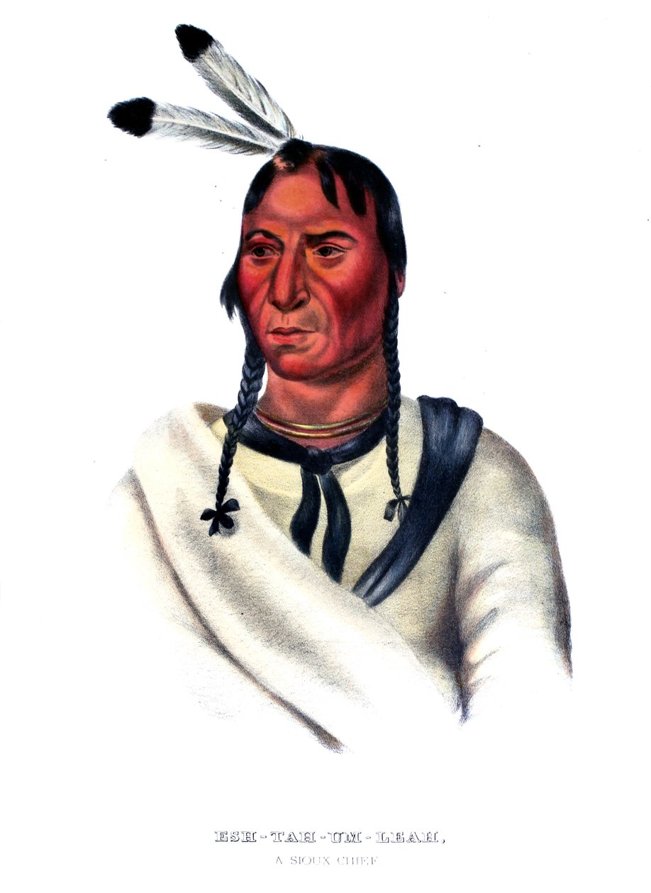 Eshtahumbah (Slaperige Ogen), een Sioux-hoofd door Charles Bird King