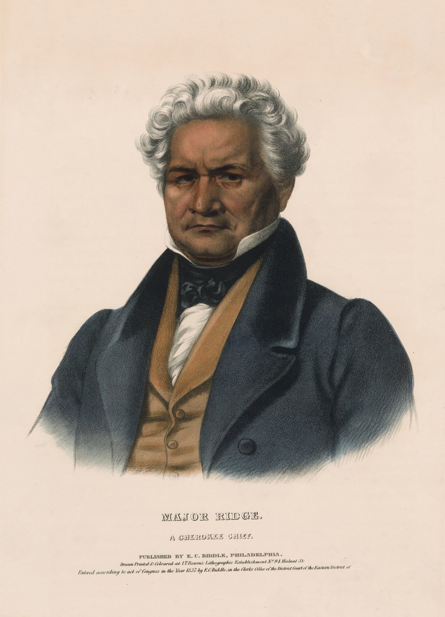 Majoor Ridge door Charles Bird King