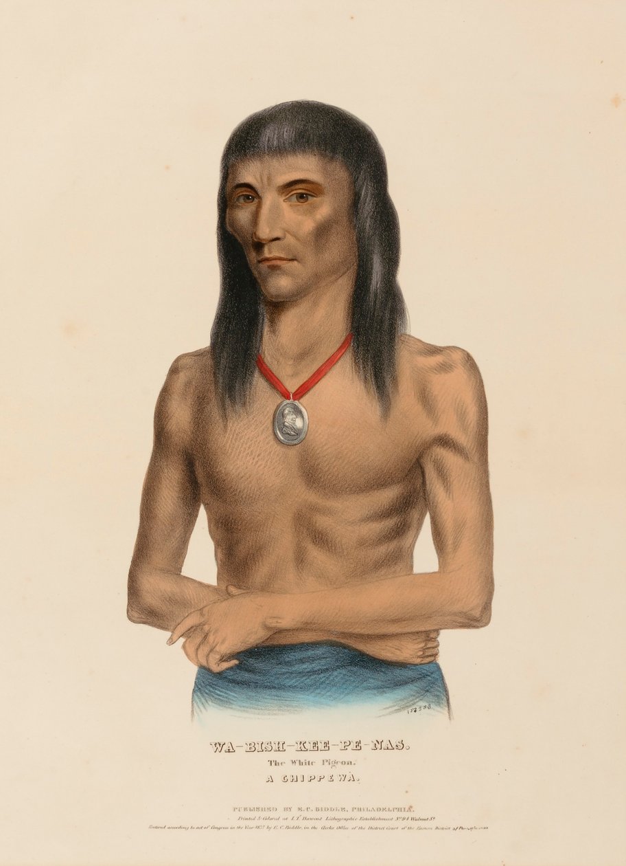 WA-BISH-KEE-PE-NAS. De witte duif. Een CHIPPEWA, uit de Geschiedenis van de Indianenstammen van Noord-Amerika door Charles Bird King