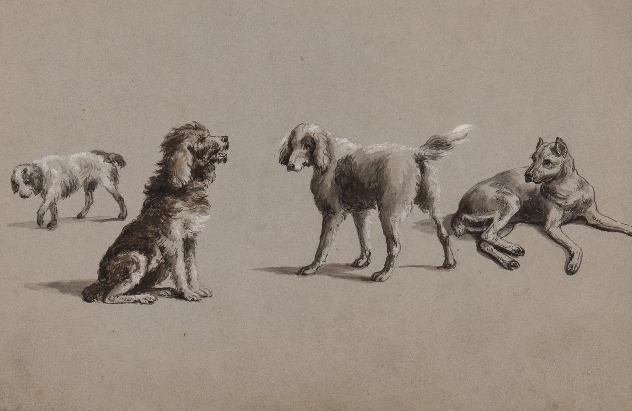 Studies van honden door Charles Cooper Henderson