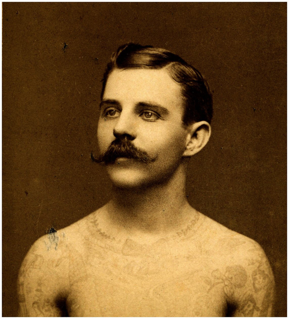 Frank Howard de getatoeëerde man, ca. 1900 door Charles Eisenmann
