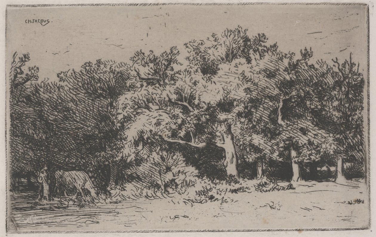 Een Hoek van het Bos van Fontainebleau door Charles Emile Jacque