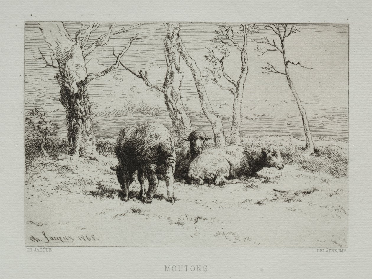 Schapen, 1868 door Charles Emile Jacque