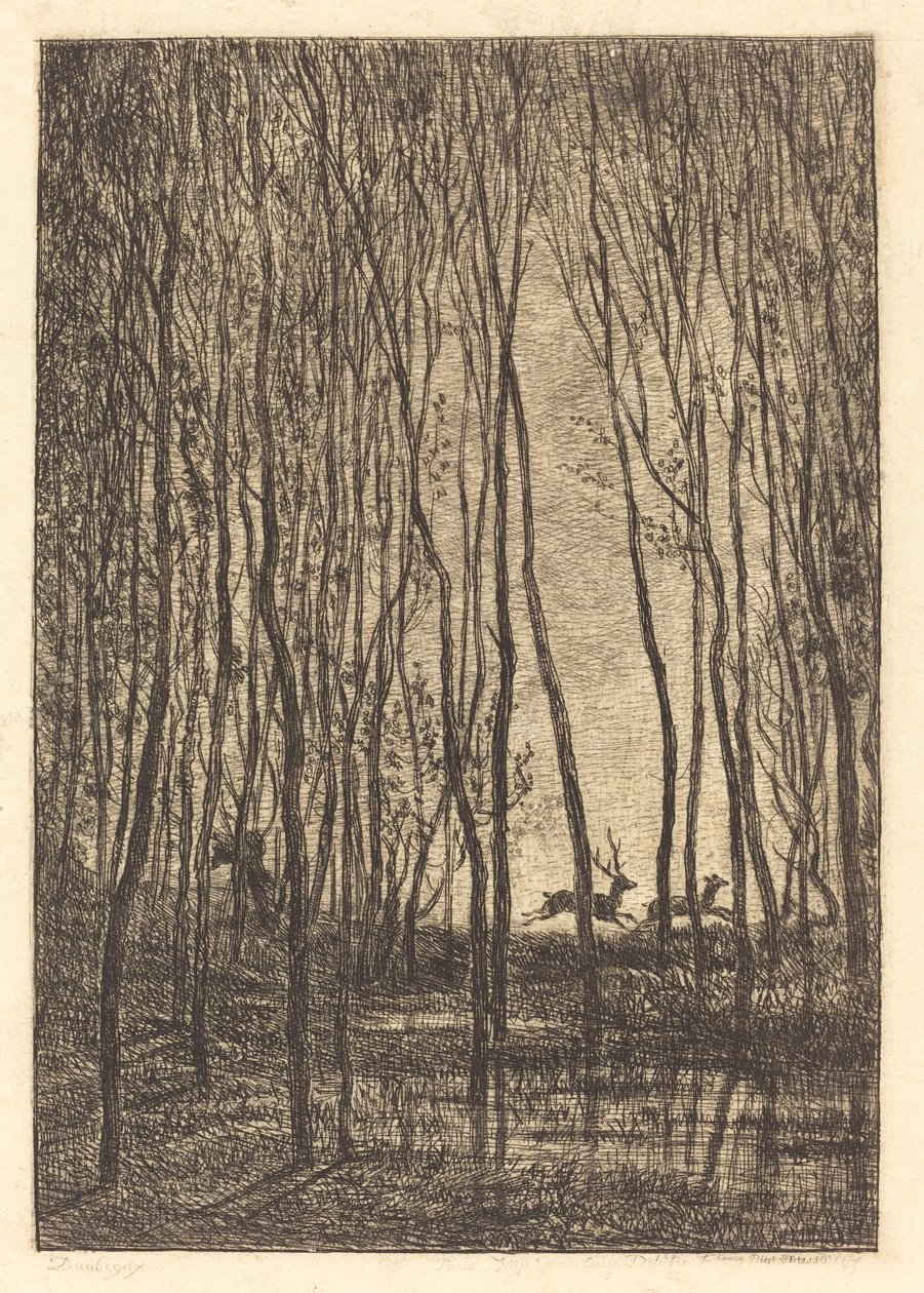 Herten in het Bos door Charles Francois Daubigny