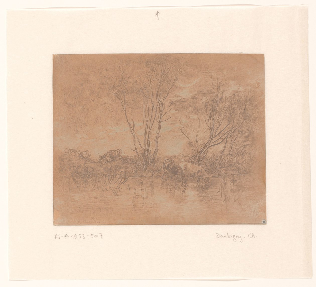 Landschap met drinkende koeien door Charles Francois Daubigny