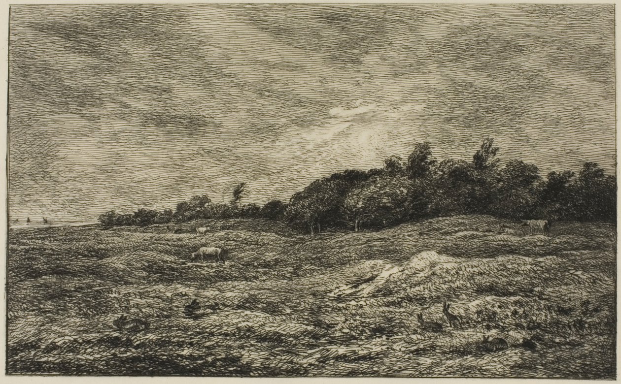 Le Pré des Graves in Villerville (Calvados) door Charles Francois Daubigny