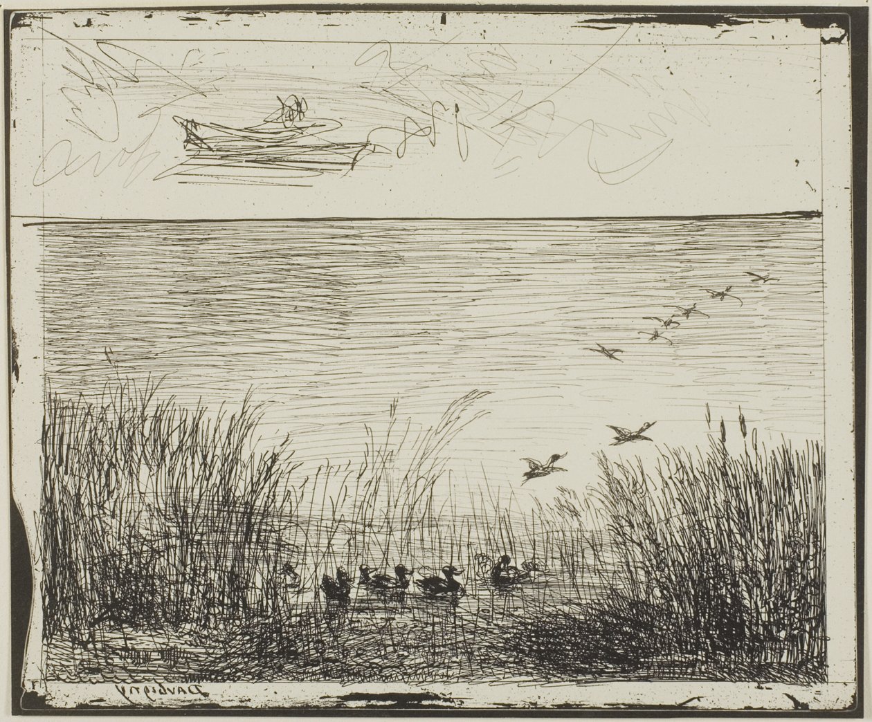 Moeras met eenden door Charles Francois Daubigny