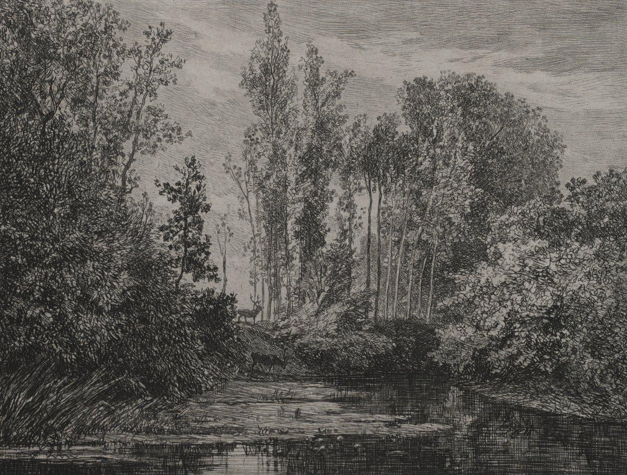 Herten aan de waterkant door Charles Francois Daubigny