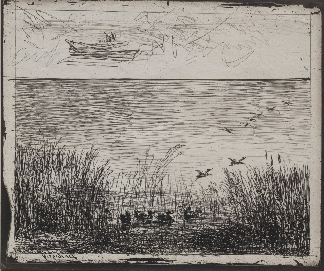 Moeras met Eenden, originele afdruk 1862, gedrukt in 1921 door Charles Francois Daubigny