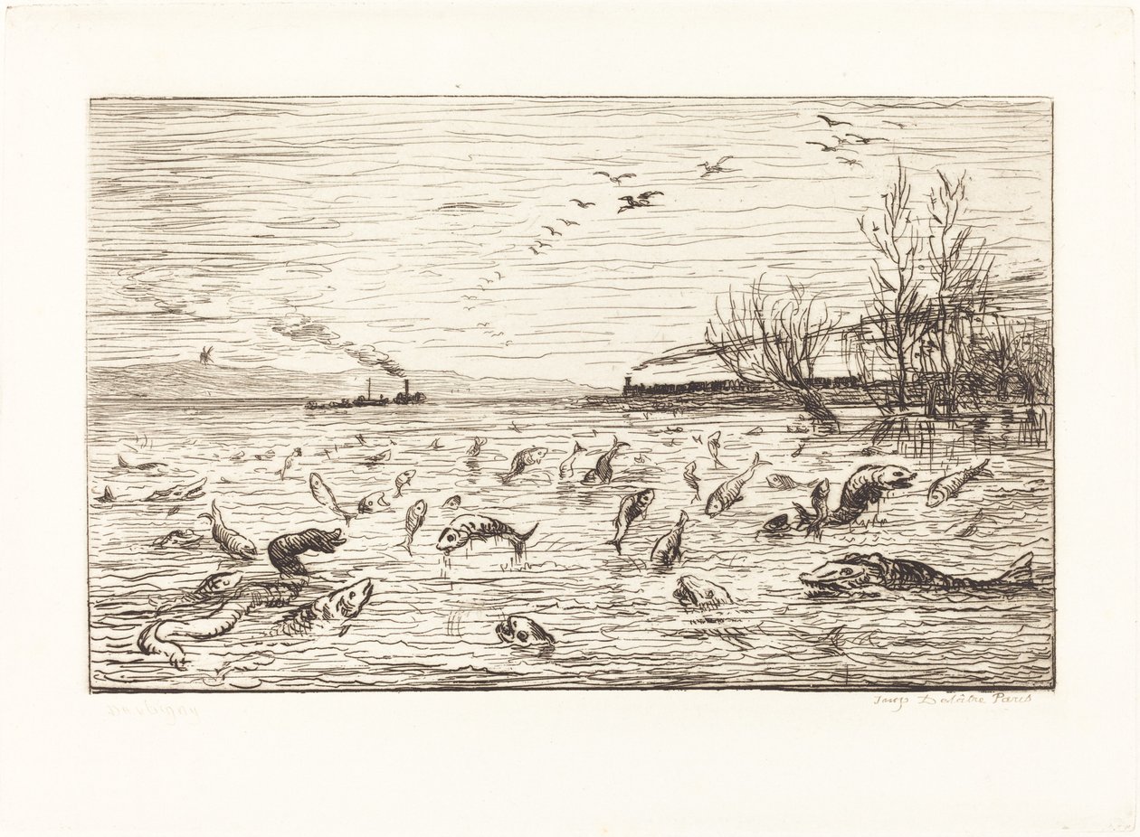 De Vissen Verheugen zich wanneer de Kajuitjongen Vertrekt door Charles Francois Daubigny