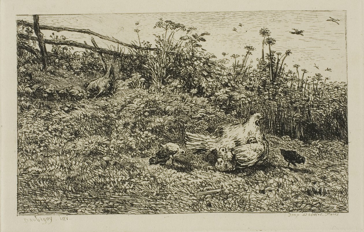 De hen en haar kuikens door Charles Francois Daubigny