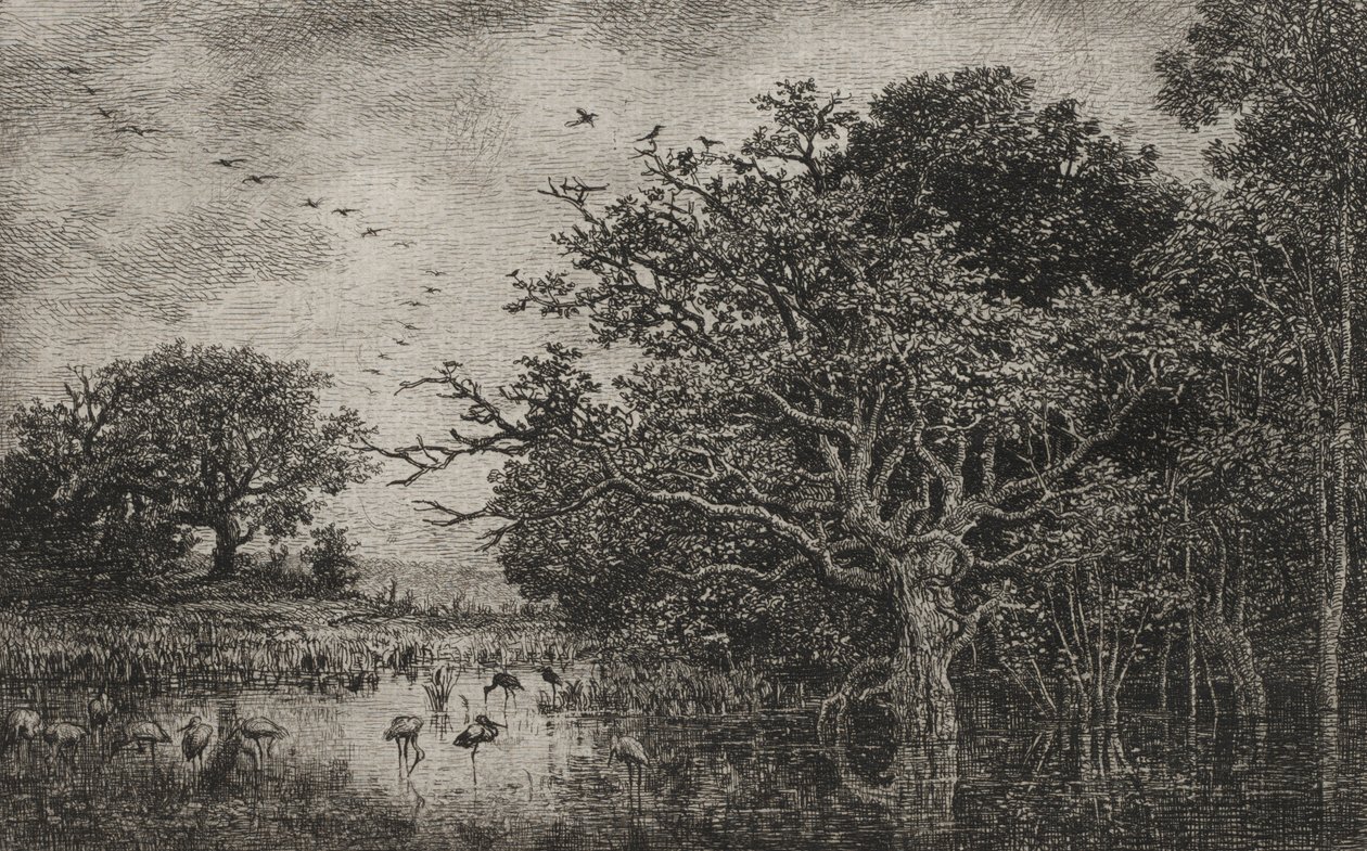 Het Moeras met Ooievaars, ca. 1851 door Charles Francois Daubigny