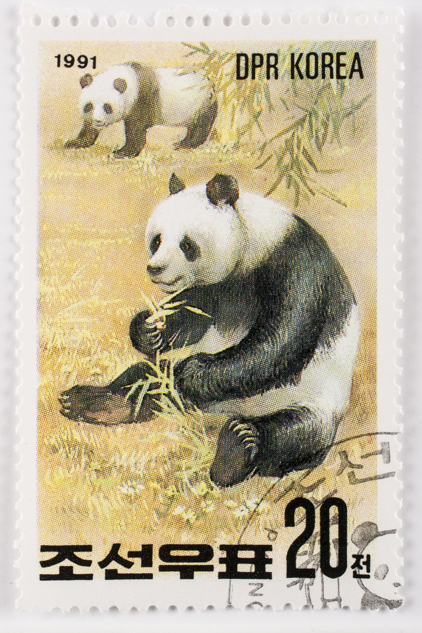 Postzegel Noord-Korea Ailuropoda melanoleuca Reuzenpanda door Augustus Kollner