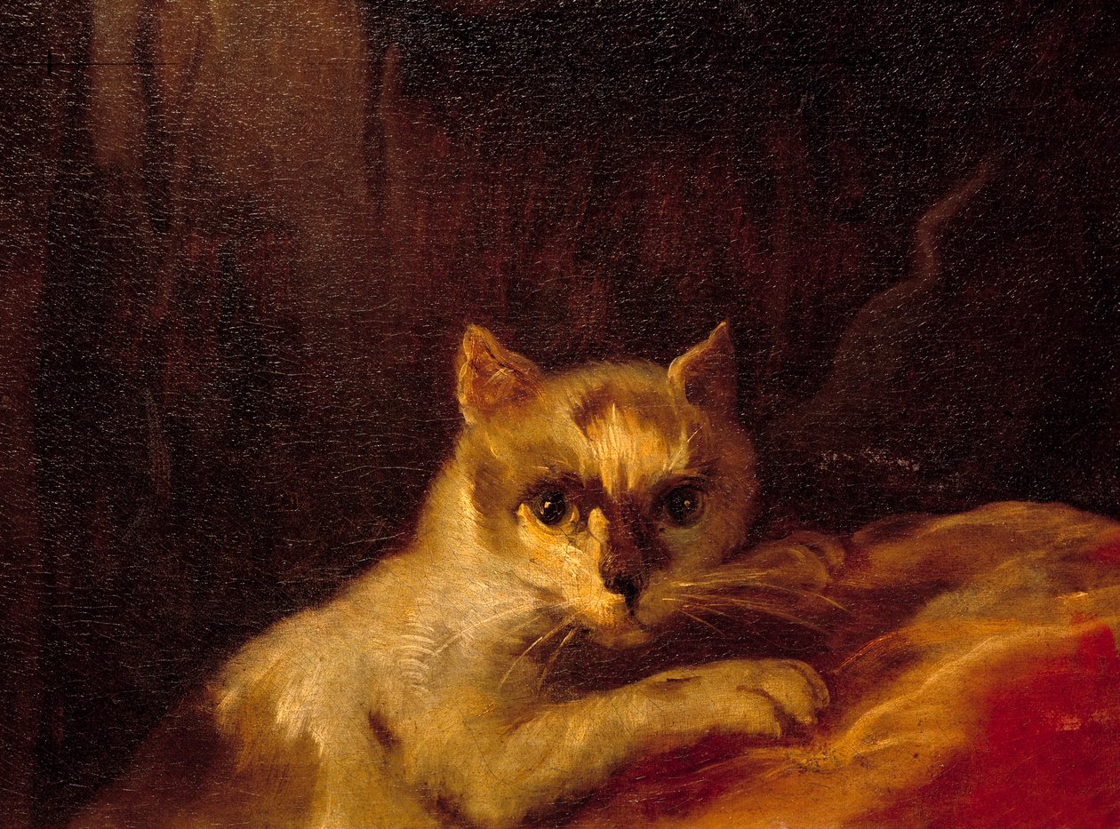 Mademoiselle de Charolais (detail) door Charles Joseph Natoire
