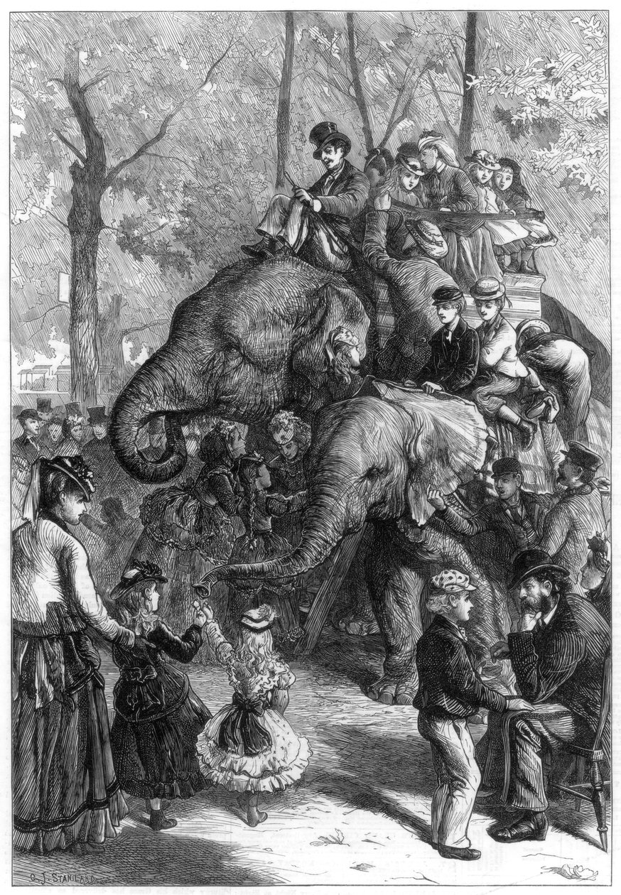Maandagmiddag in de dierentuin, 1871 door Charles Joseph Staniland