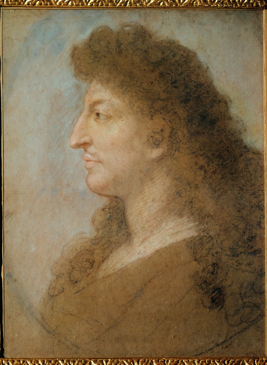 Portret van Lodewijk XIV ... door Charles Le Brun