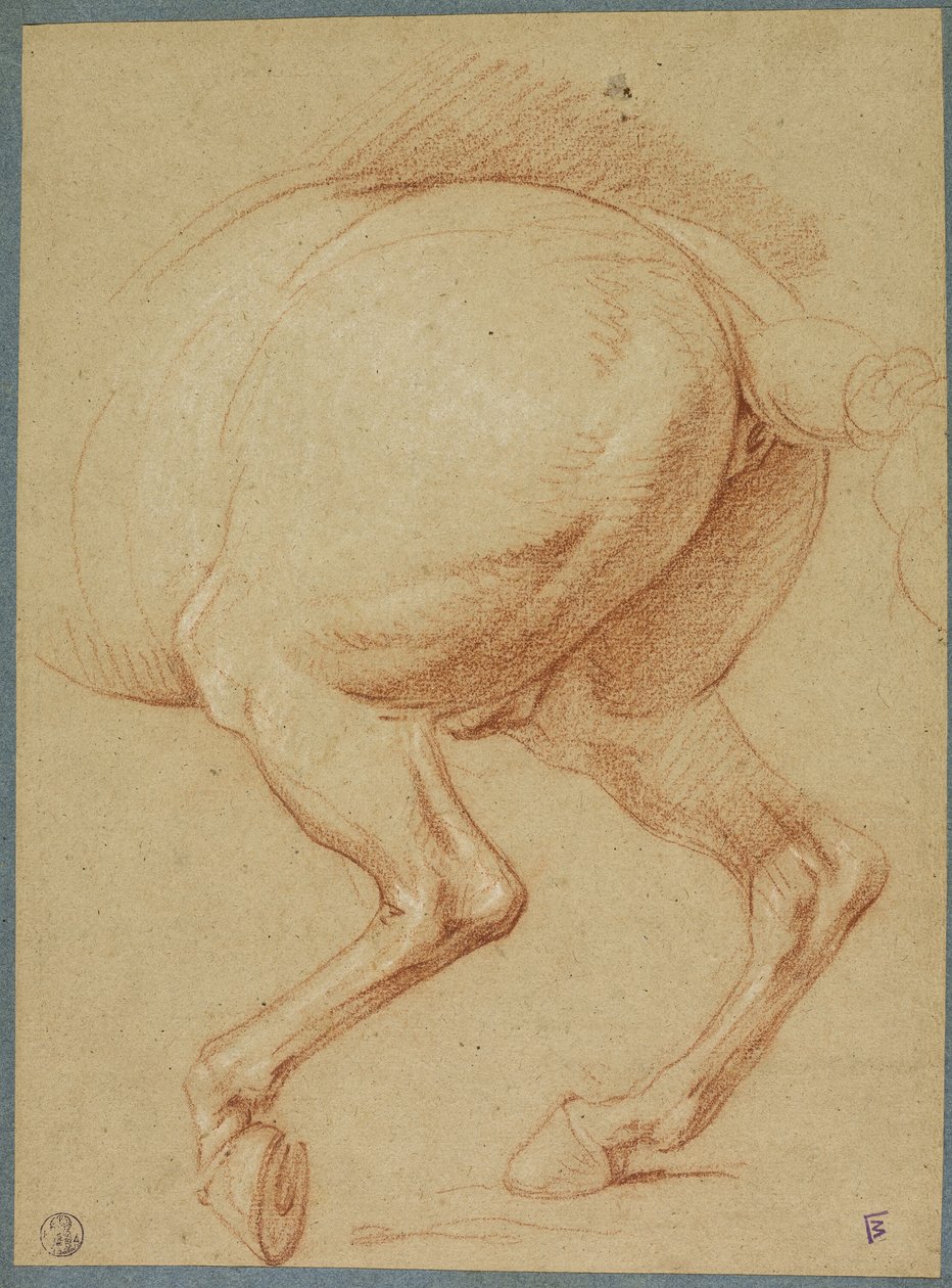 De achterbenen van een paard door Charles Le Brun