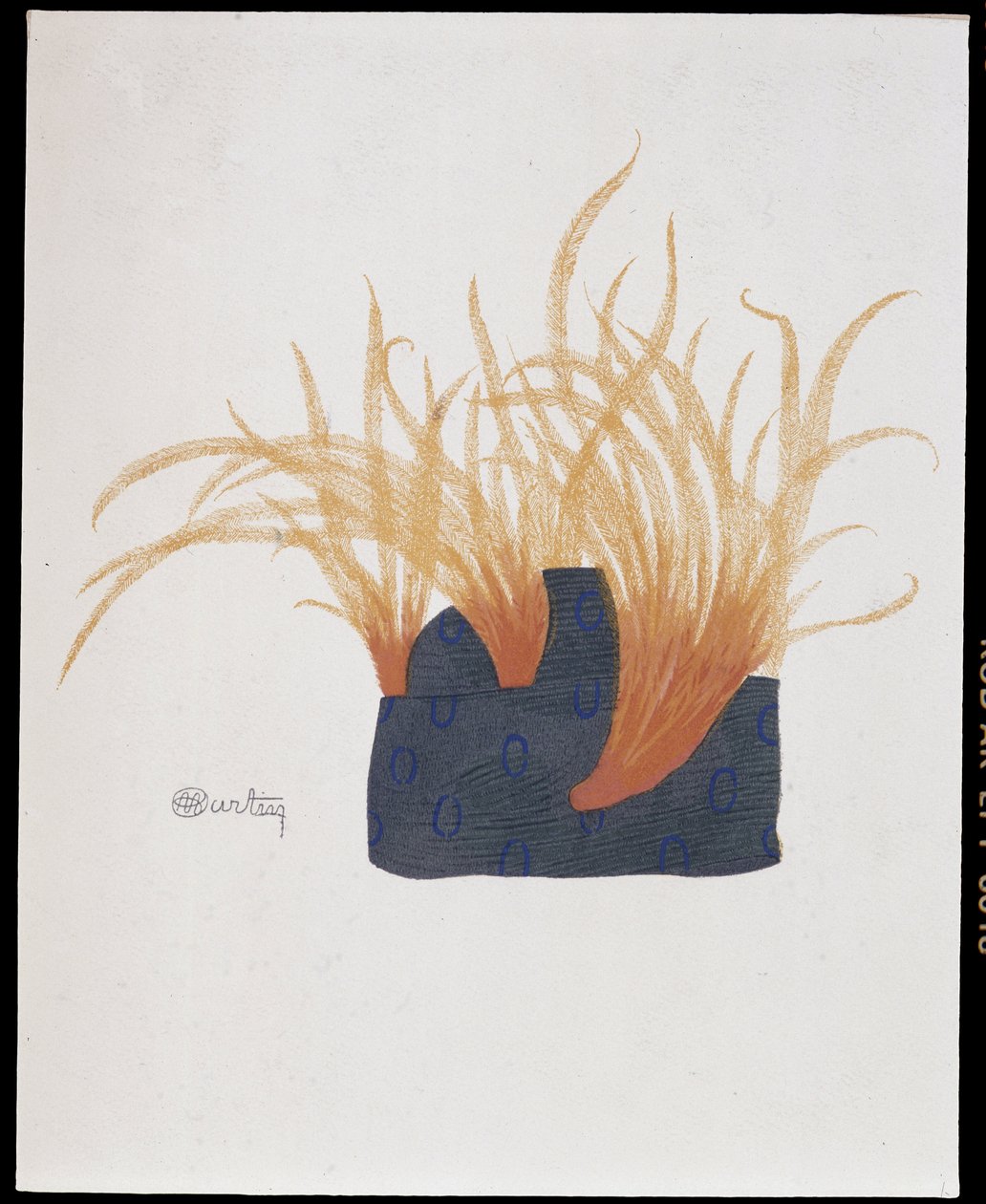 Fathered hat - La Mode en 1912 door Marcelle Demay, illustratie door Charles Martin door Charles Martin
