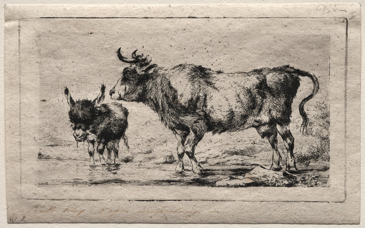 Koe en ezel door Charles Meryon