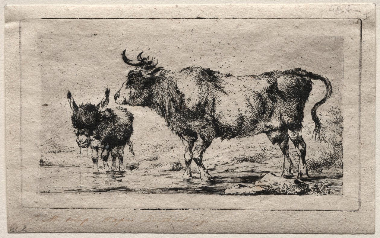 Koe en ezel, 1849 door Charles Meryon