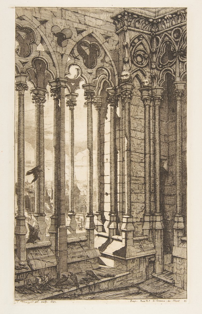 Galerij, Notre-Dame-kathedraal, Parijs door Charles Meryon