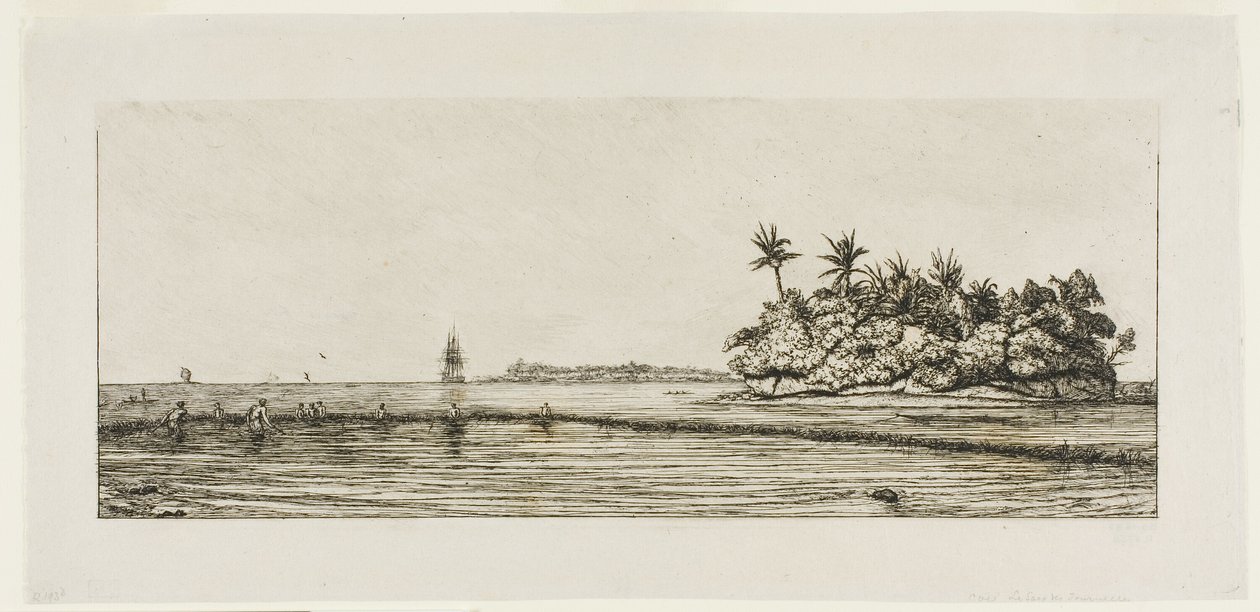 Oceanië: Vissen, nabij eilanden met palmen in de Uea of Wallis-groep, 1845 door Charles Meryon